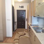 شقة Detelina