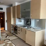 Detelina بانسكو