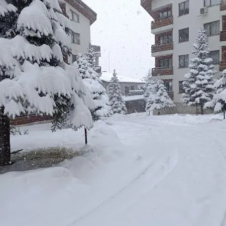 Detelina Apartment *