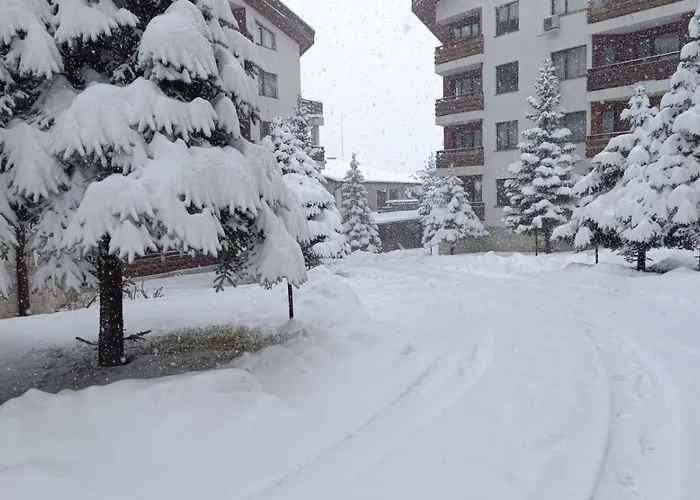 Detelina Apartment *