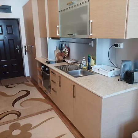 Апартамент Detelina