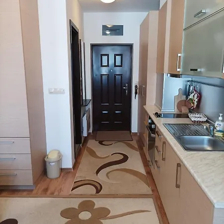 Detelina Apartment *